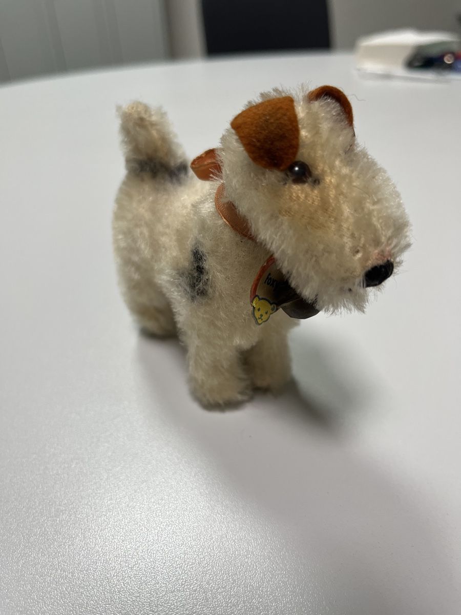 Steiff Giocattoli: Steiff Hund Terrier klein mit Glocke – Usato da Dietikon venduto da cre8different 2