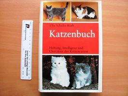Katzenbuch