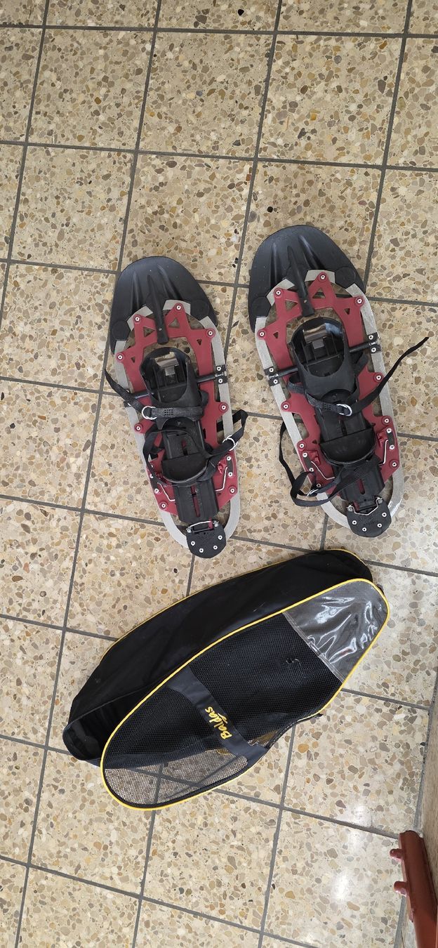 Scarpe per cavalli: Schneeschuhe mit Tragetasche, top Zustand – Usato da Moosseedorf venduto da fer_2h2m 1