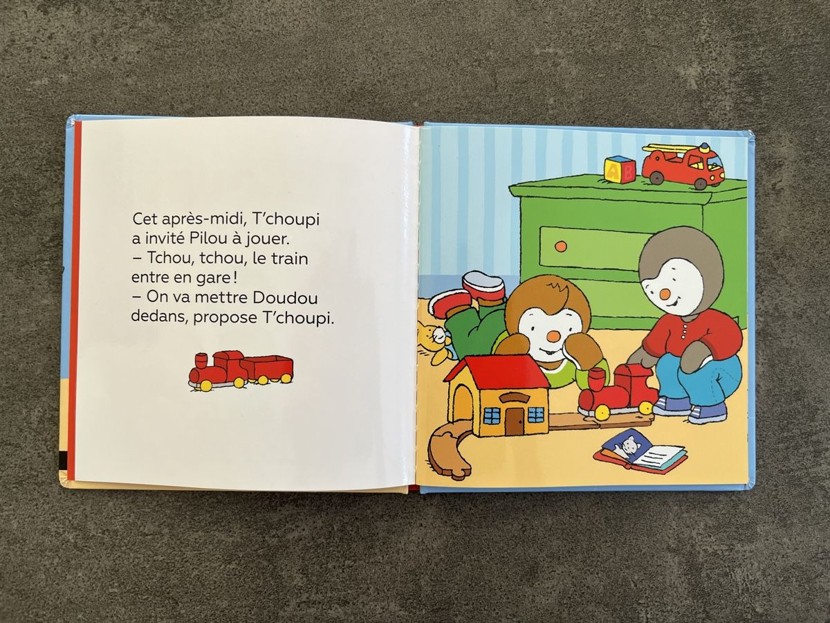 Bücher: Livre Tchoupi a perdu son doudou – Gebraucht aus Chénens von  1