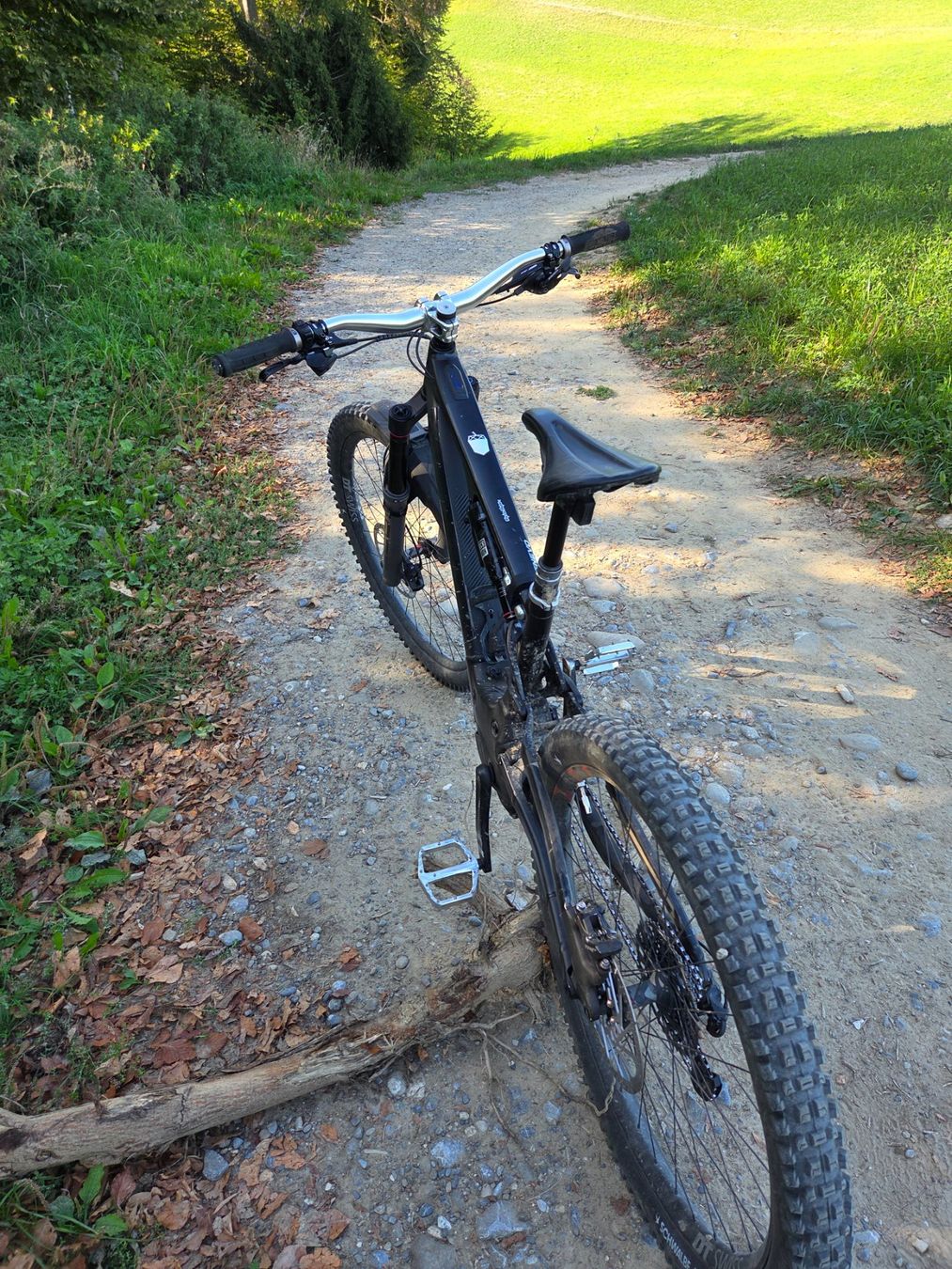 Specialized Biciclette: Specialized Kenevo/Neu – Usato da Bern venduto da Freeride001 6