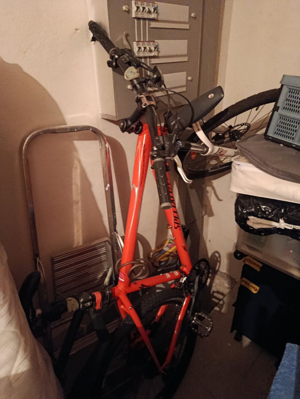 Specialized Vélos: Velo – D'occasion à Erlinsbach SO par kusischnusi