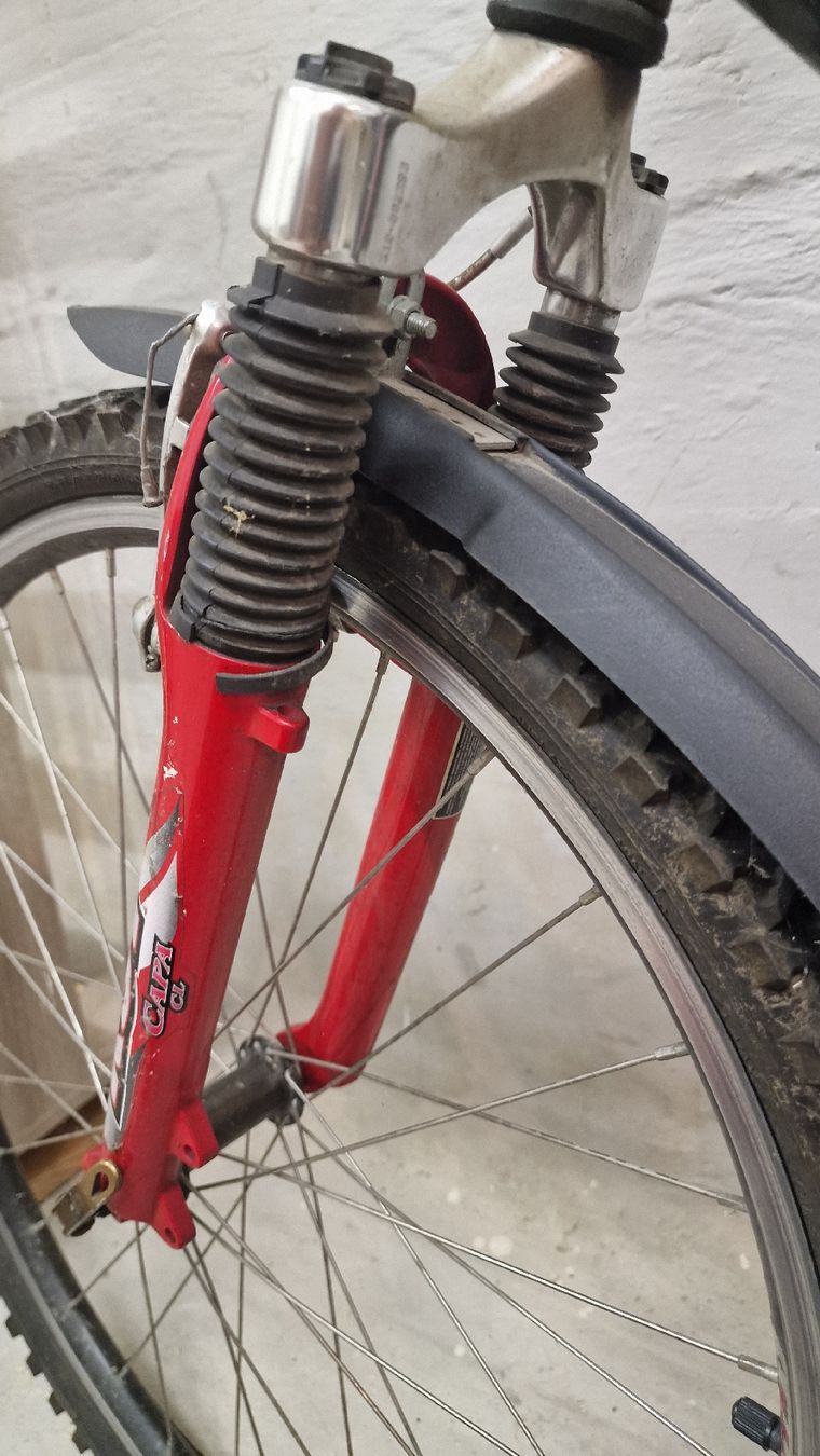 Biciclette: Wheeler Proride Mountainbike 19' – Usato da Seftigen venduto da ben_wr99 3