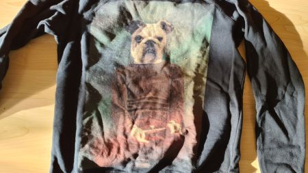 Cooler Pulli mit Hundeprint, ungetragen, Gr. XS