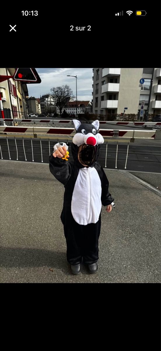 Costumi: Costume gros minet  – Usato da Bulle venduto da Lamontagne66 1