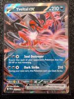 Perfect Order / Yveltal ex 053/088 EN