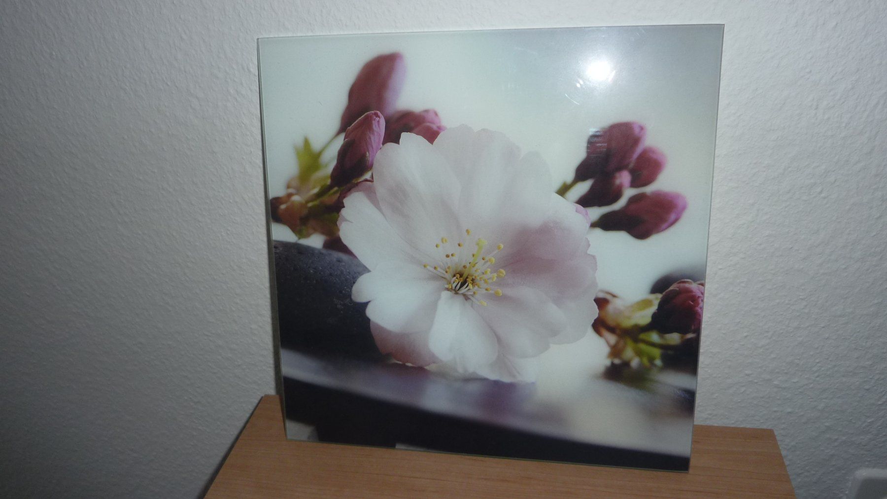 Poster & Bilder: leinwand bild  orchidde – Neu (gemäss Beschreibung) aus Füllinsdorf von pmarkus