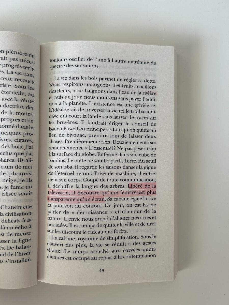 Libri: Dans les forêts de Sibérie, Sylvain Tesson – Usato da Sonceboz-Sombeval venduto da Anna_Maria09 3