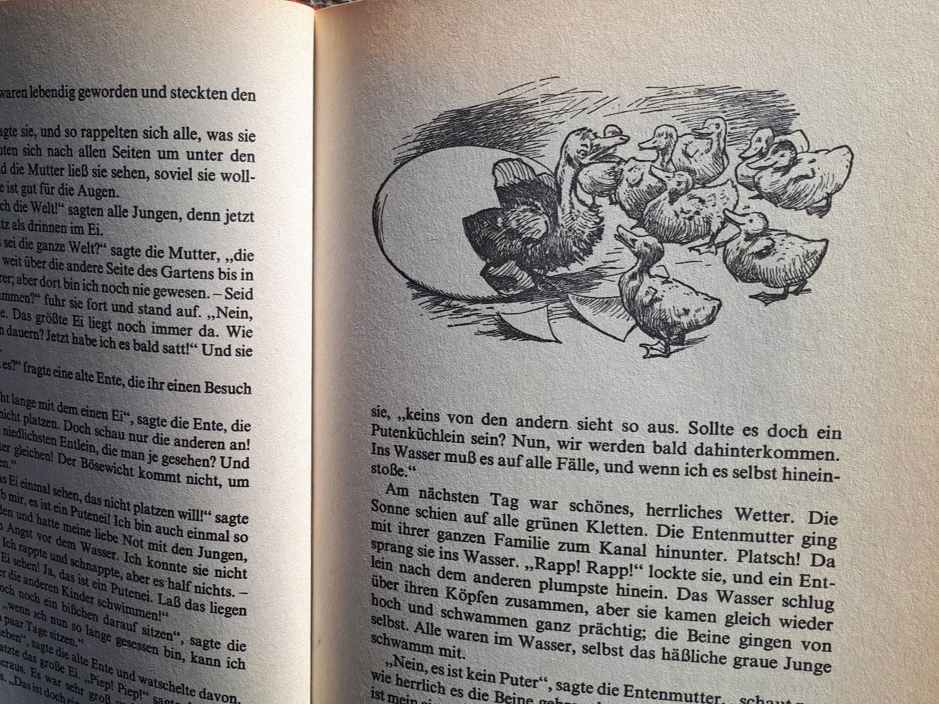 Libri: 3 Märchenbücher - Andersen, Grimm, Bechstein – Usato da Schwellbrunn venduto da Selun3 3