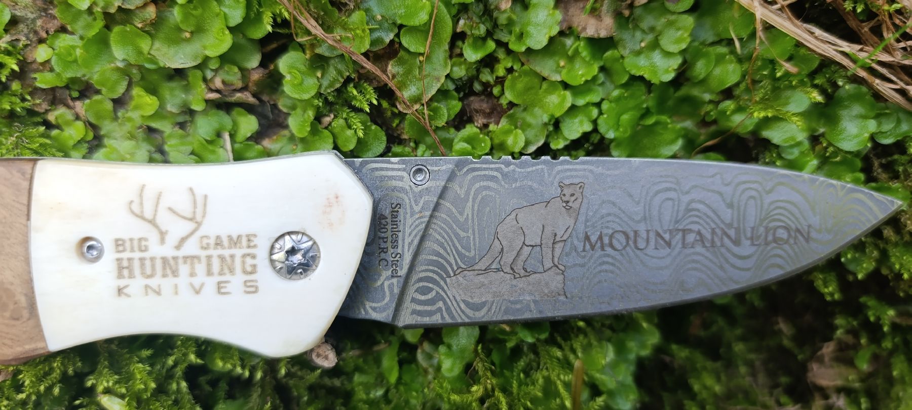 Taschenmesser: American Mint Taschenmesser  – Gebraucht aus Oppligen von can_rf8g 4