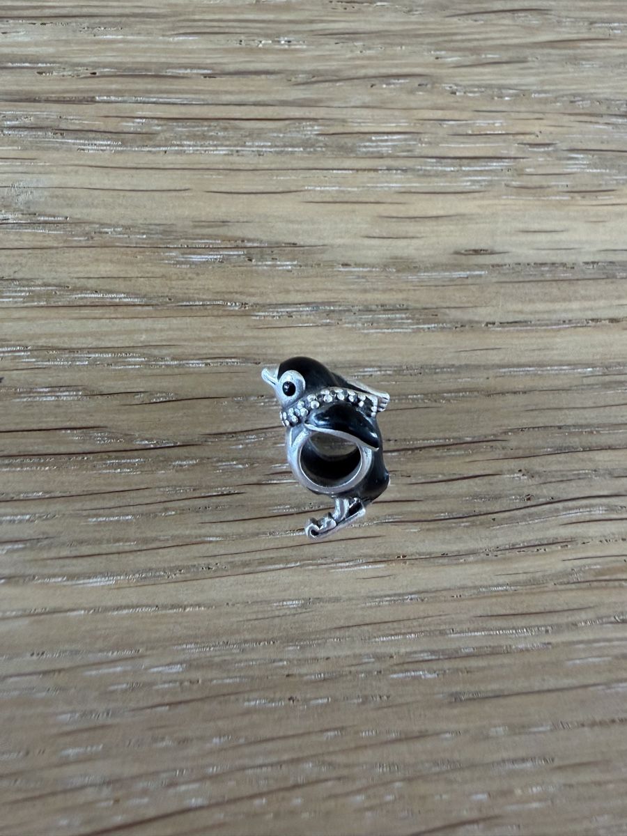 Pandora Ciondoli: Pandora Charms – Usato da Schaffhausen venduto da andrea_monica 2