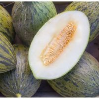 20 Samen Honigmelone PIEL DE SAPO