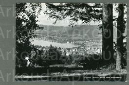 AK sw Zürich ZH Blick vom Zürichberg, sehr schön ≈ 1946