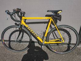 Rennrad Stevens Gelb Top Zustand perfekt für Frühling!
