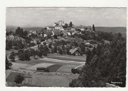 Ansichtskarte Regensberg Kanton Zürich gebraucht 1964