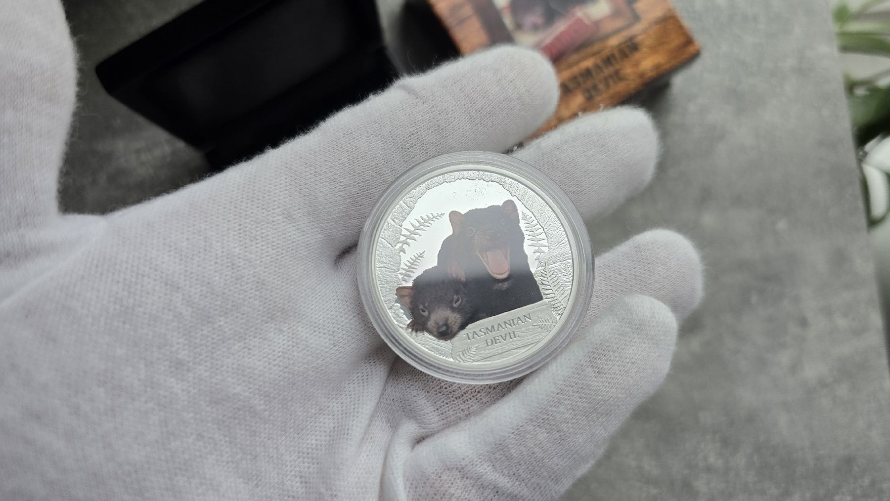 Alle Münzen: Tasmanian Devil 1 oz Silver Proof 2013 Color Endangered – Neu (gemäss Beschreibung) aus Petit-Lancy von SilverCoinCoin 2
