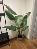 Kunstpflanzen / Fejka Ikea