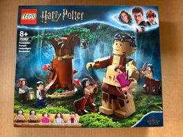 Lego Potter 75967 — Begegnung mit Umbridge