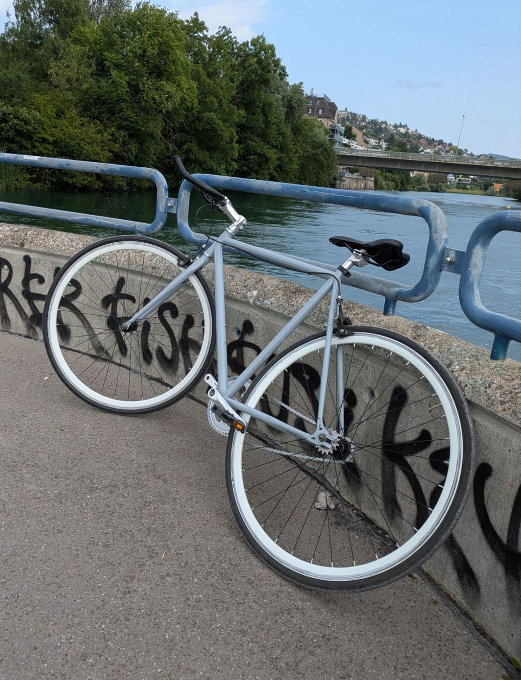 Biciclette: Singlespeed Velo in Grau – Usato da Zürich venduto da anthony_julien 1