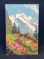 Ansichtskarte: Silene acaulis - Zwergleimkraut