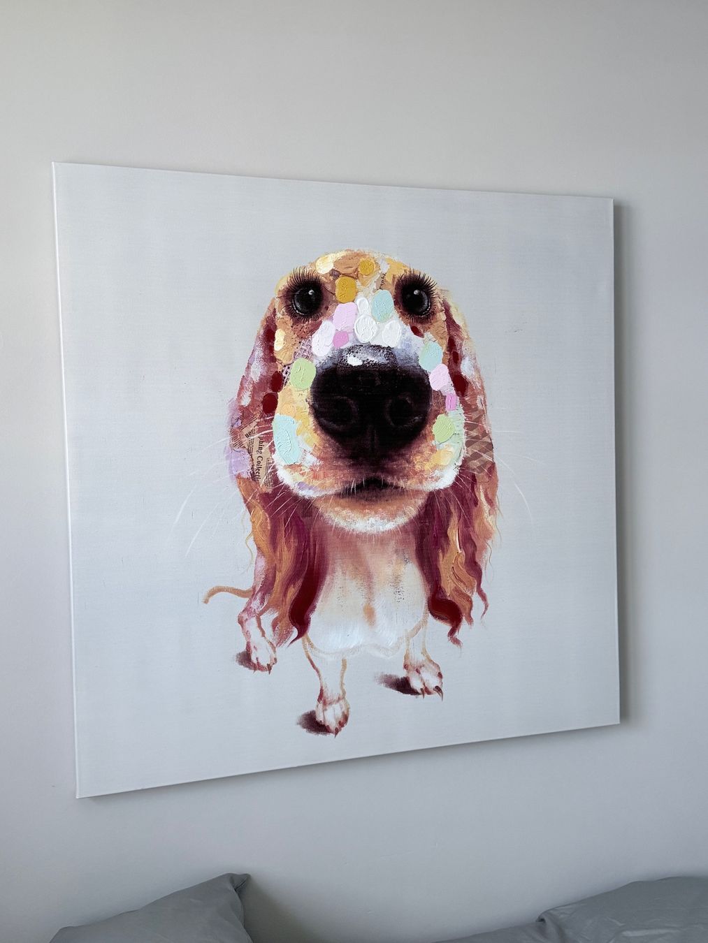 Foto & Immagini: Leinwandbild Hund 90x90 cm – Usato da Wermatswil venduto da FEDN 2