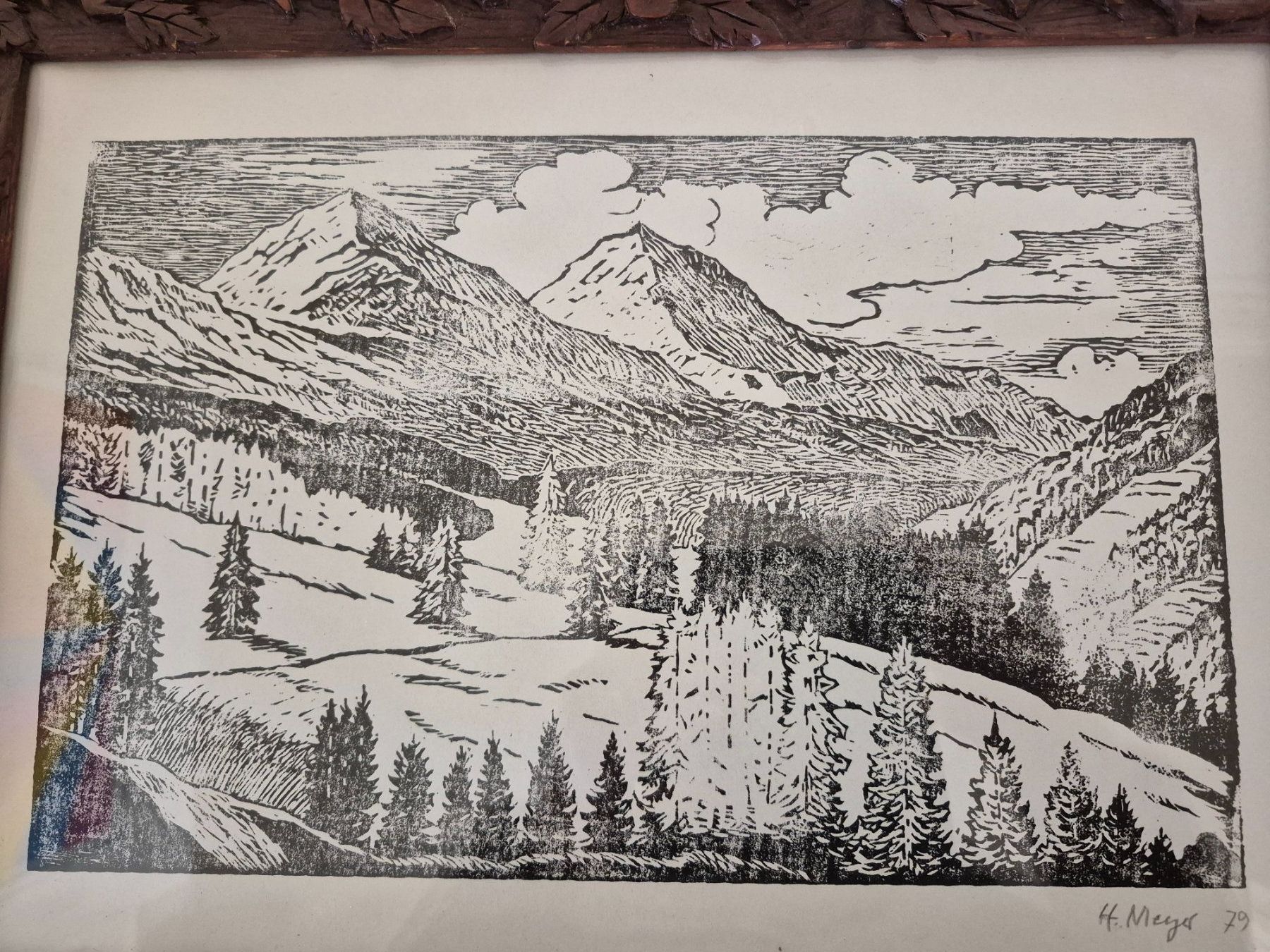 Xilografie: Holzschnitt "Berglandschaft" signiert H. Meyer – Usato da Sta. Maria V. M. venduto da han_fz8r 2