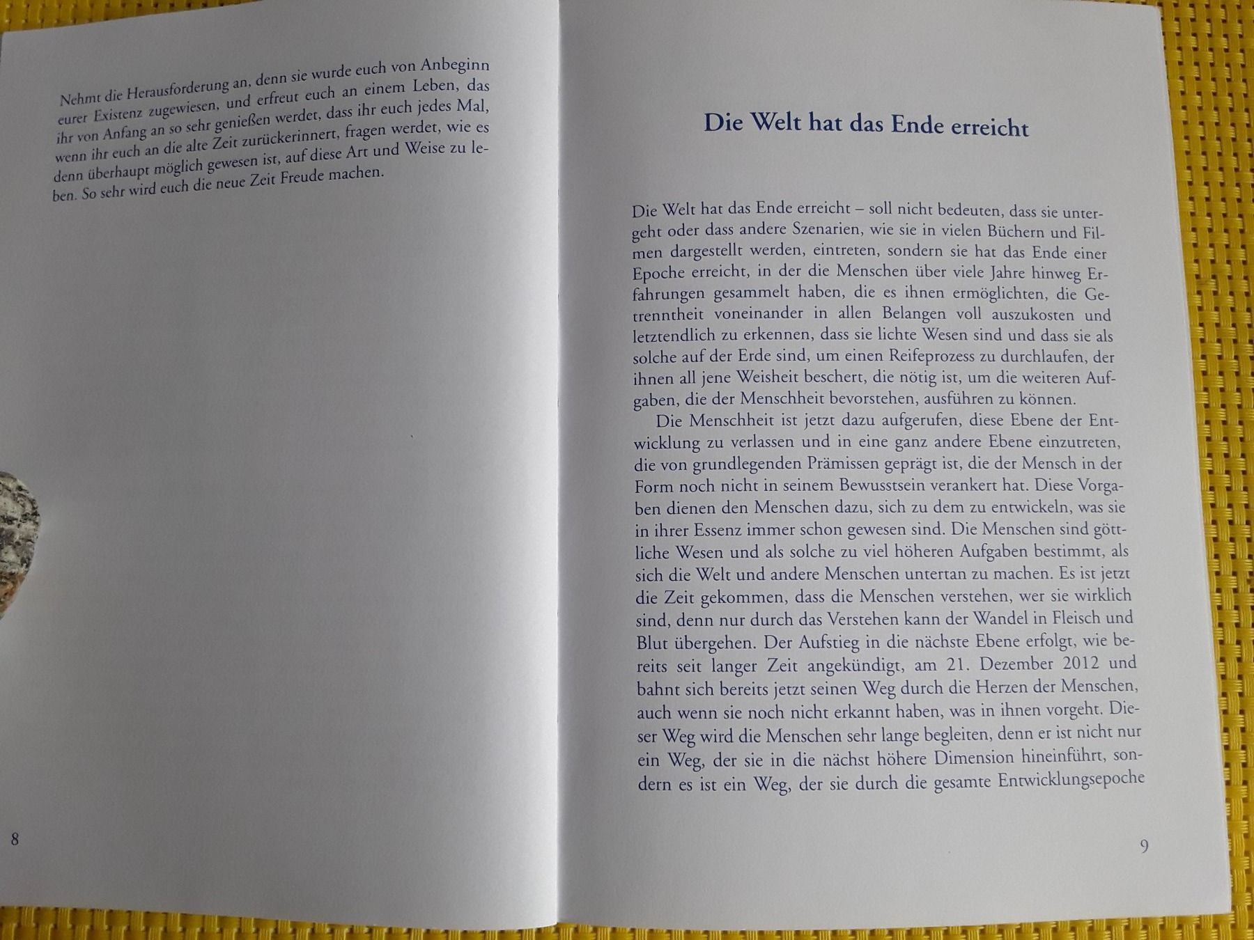 Libri: Die Rückkehr ins Paradies – Usato da Rebstein venduto da Buchsi03 5
