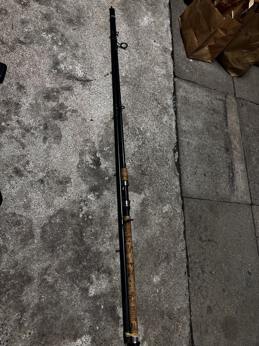 Canne da pesca: Zebco Rhino DF Specialist predator – Usato da Steckborn venduto da bra_f7jy