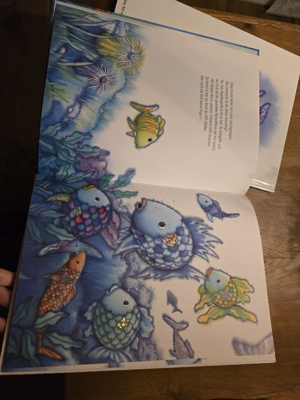 Libri: 2 Kinderbücher "Der Regenbogenfisch" set – Usato da Wittenbach venduto da Tigerlili 7