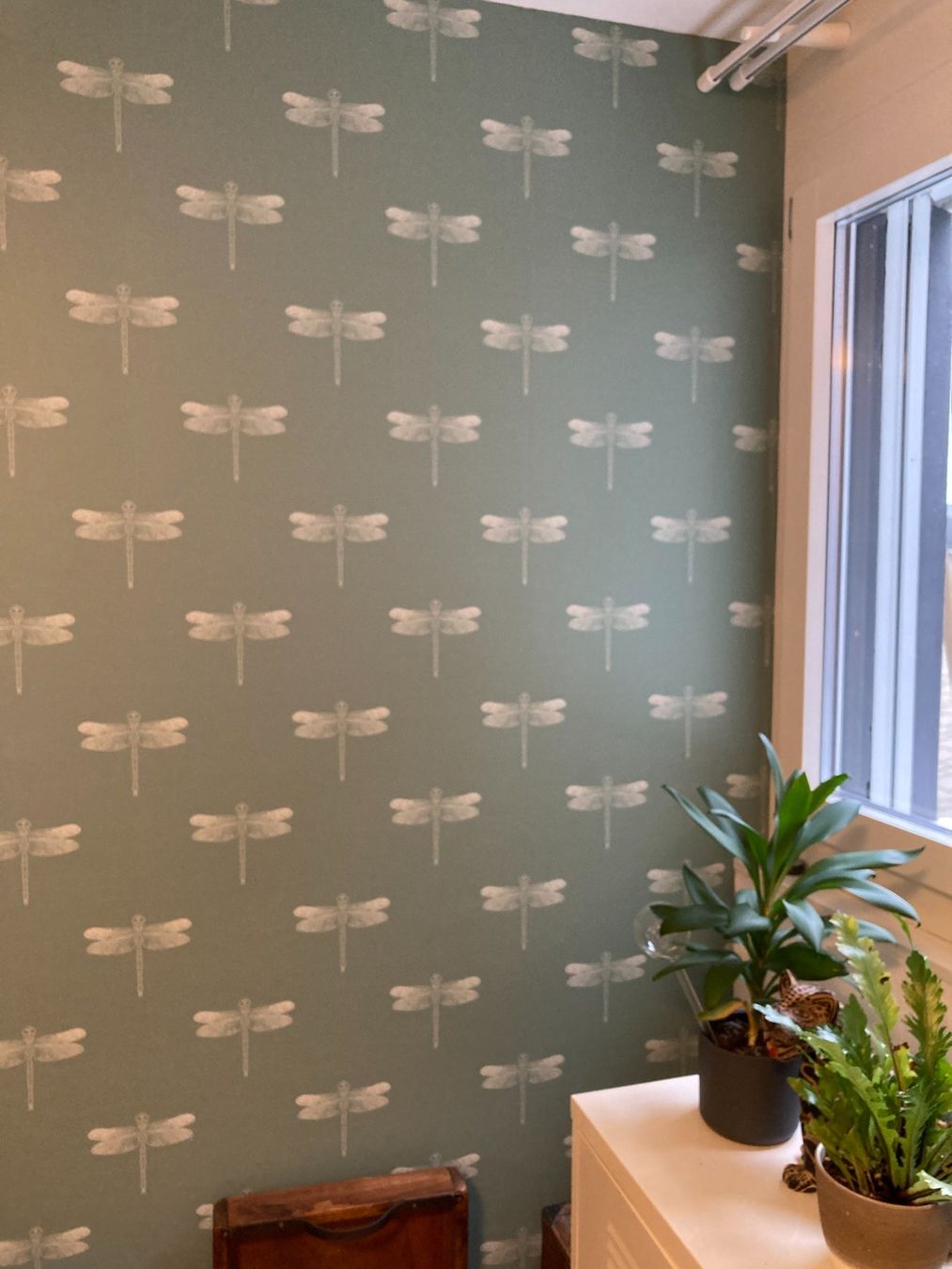 Tapeten: Tapete mit Libellen, grau-grün, Spoonflower – Gebraucht aus Schaffhausen von Minzli380 1