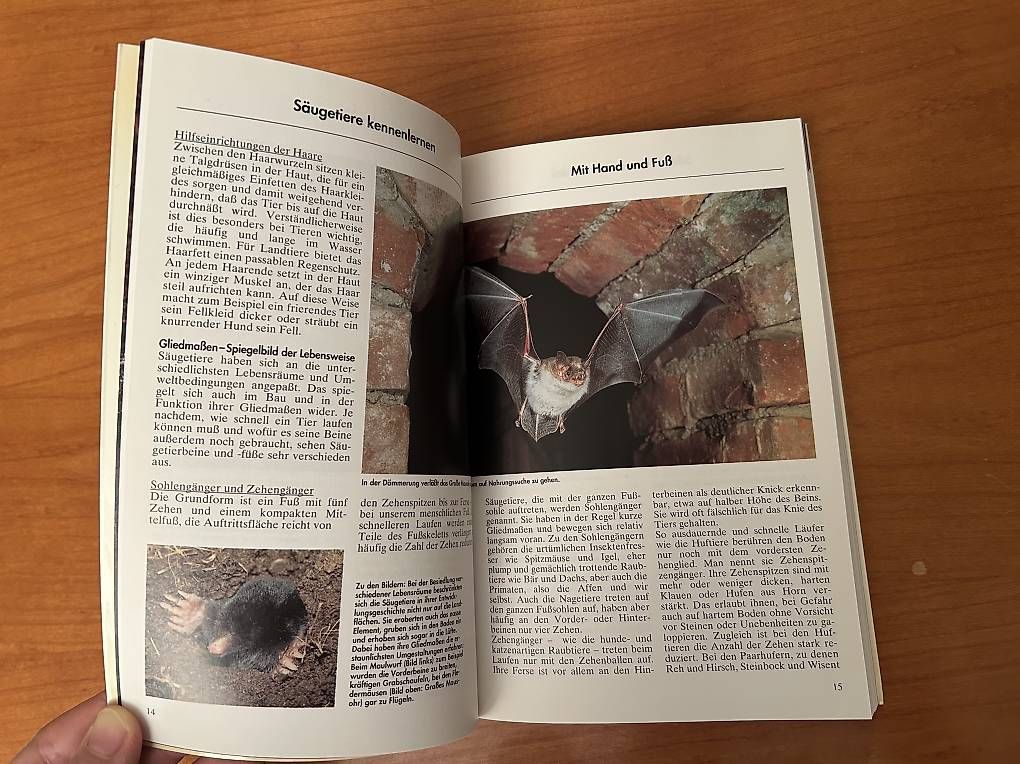 Libri: Tiere - in Natur und Garten – Usato da Zollikerberg venduto da sel_99lq 3