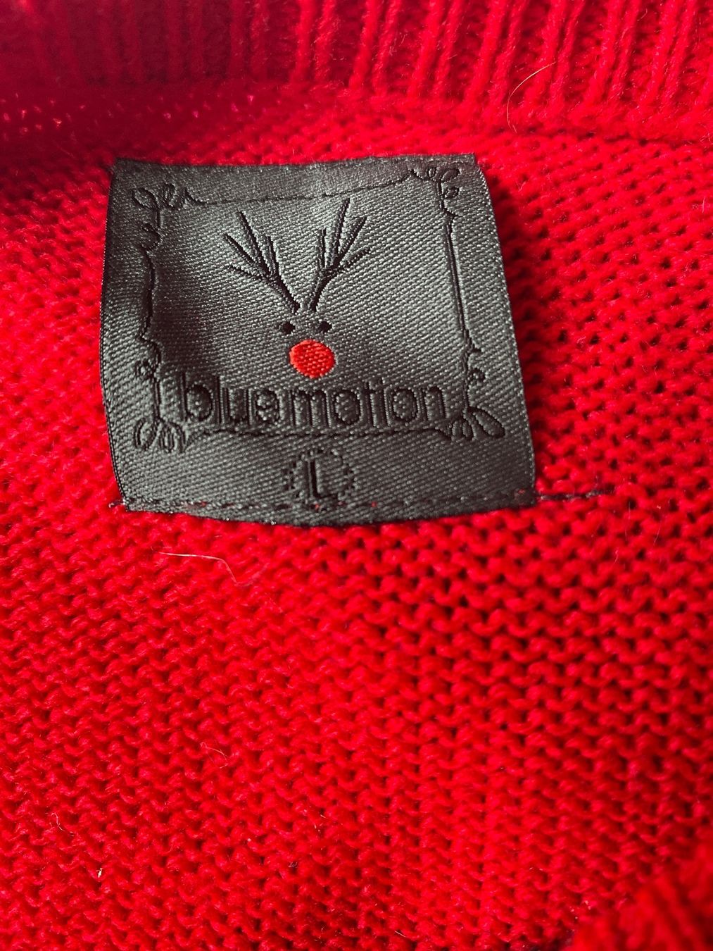 Pullover & Sweatshirts: Rudolf Pulli – Gebraucht aus Amden von stewa03 2