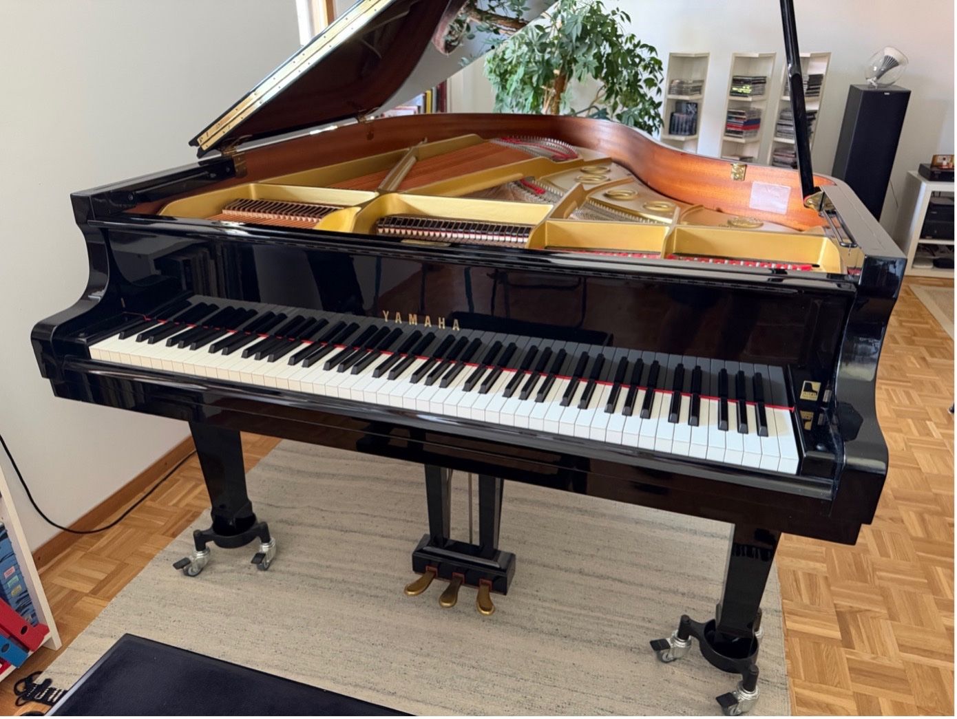 Yamaha Instruments de musique: Piano à queue Yamaha C3 Conservatory – État impeccable – D'occasion à Mollens par Antomicho 5