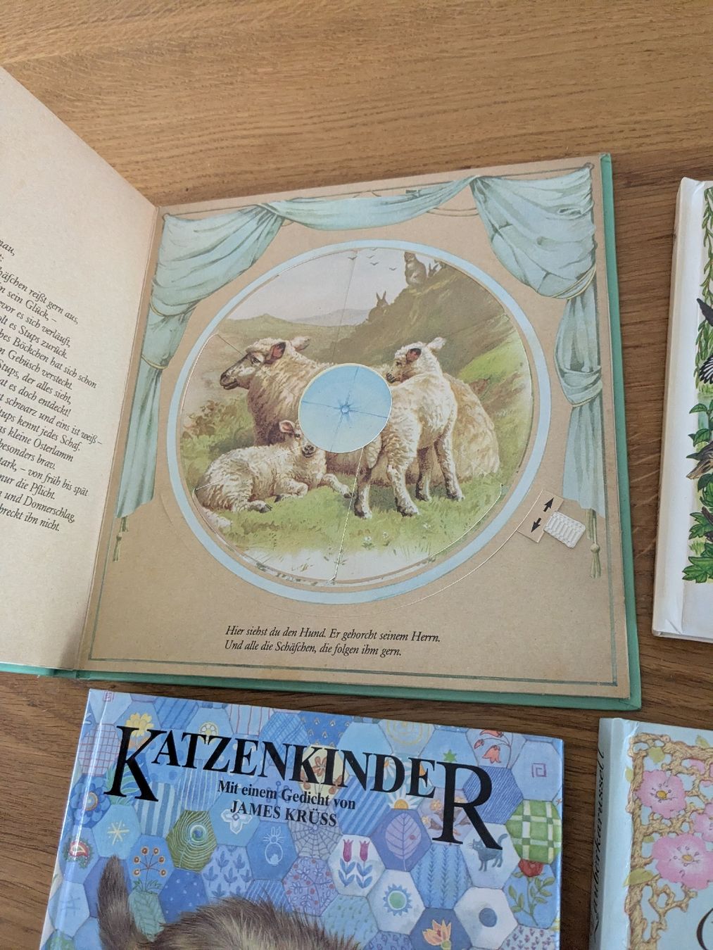Libri: 9 ältere Kinderbücher-Sammlung: Pop-up und Karussell – Usato da Wohlen AG venduto da merkur0300 4