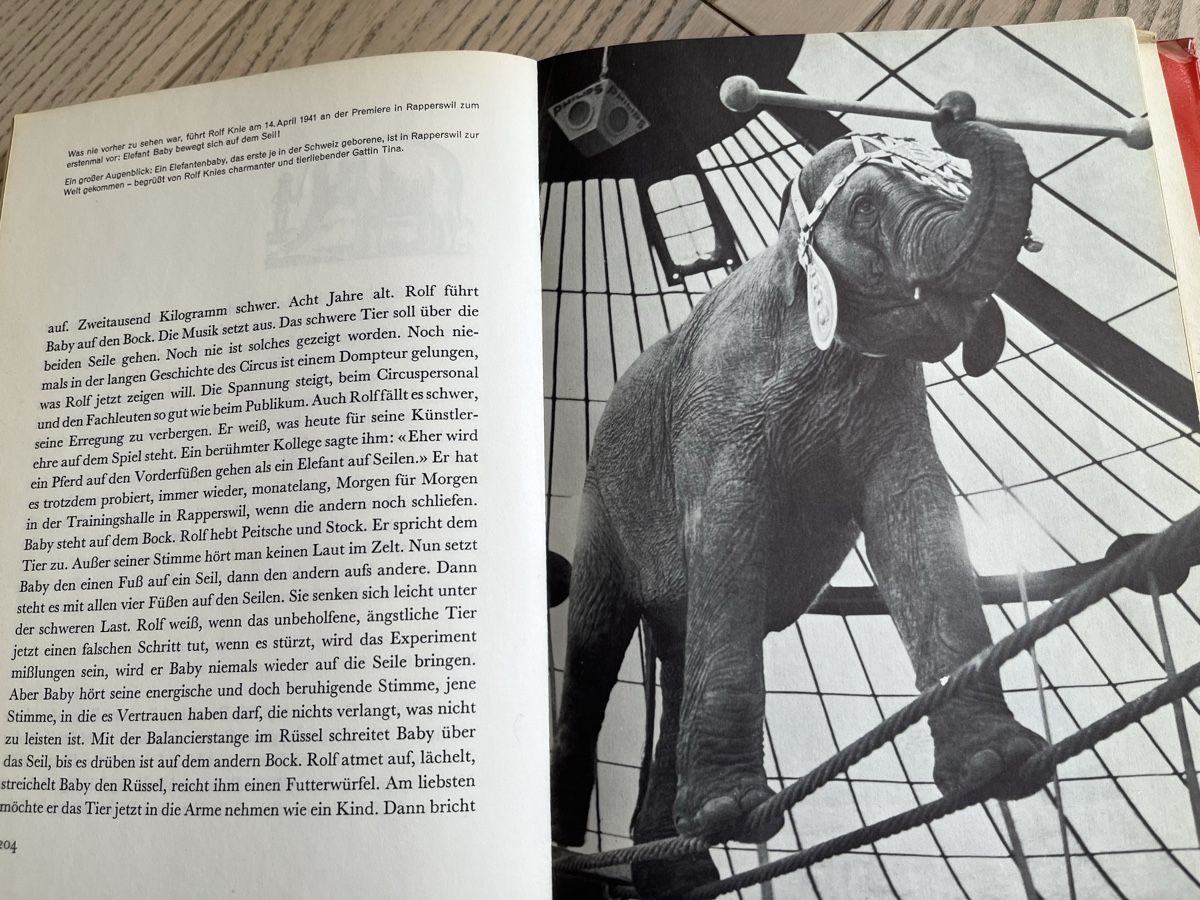 Bücher: Knie - Geschichte einer Zirkus- Dynastie – Gebraucht aus Romanshorn von Apfelschuss 3