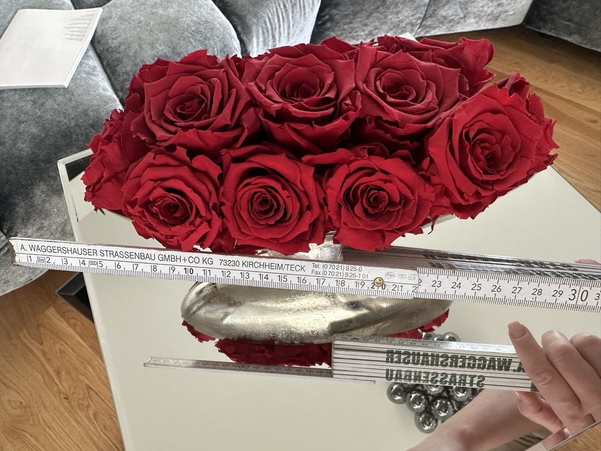 Tutte le decorazioni: Echte konserviere Rosen in einer edlen Metallschale – Usato da Zürich venduto da von_7vbl 6