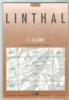 Landkarte Linthal 1999