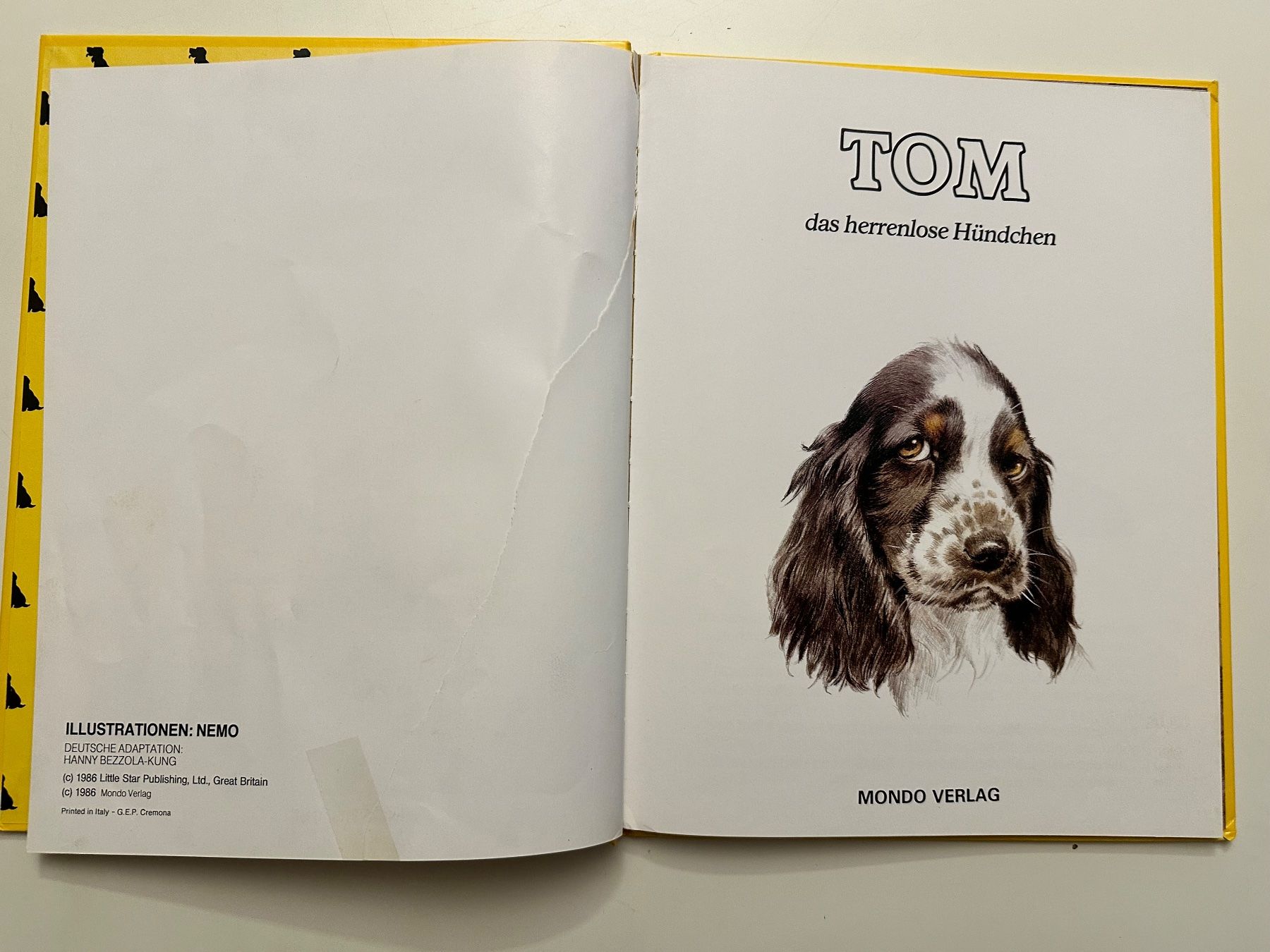 Libri: TOM das herrenlose Hündchen  - Hardcover – Usato da Münsingen venduto da Ganjam 3