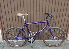 Klein MTB RG 54cm XL voll Campagnolo Ausstattung 1994 VTT