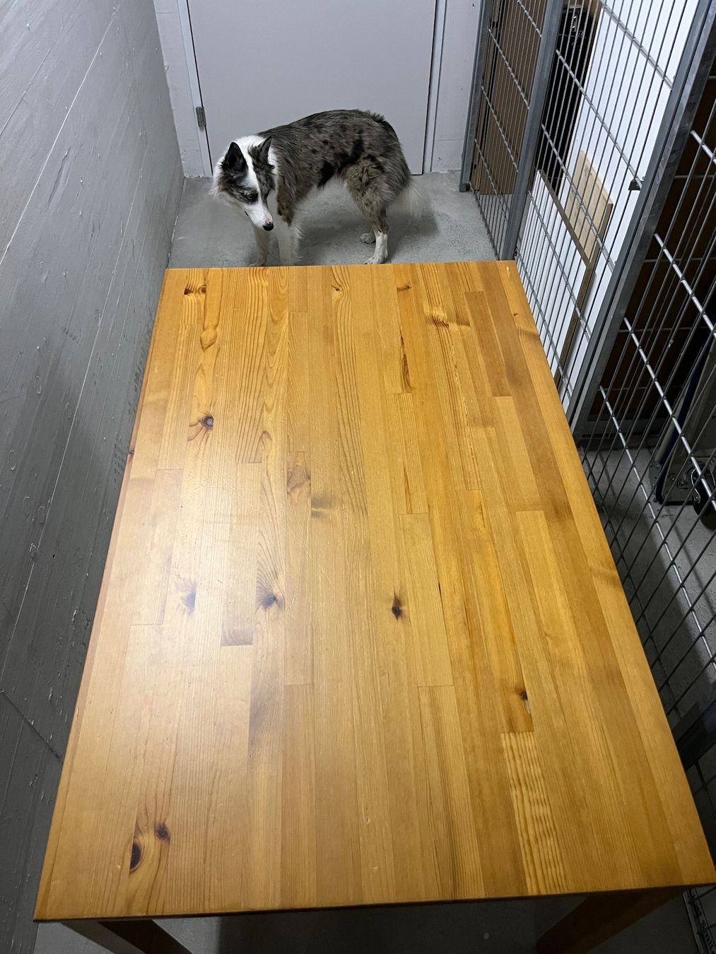 Tables: Holztisch – D'occasion à Uster par fer_w7vz 1