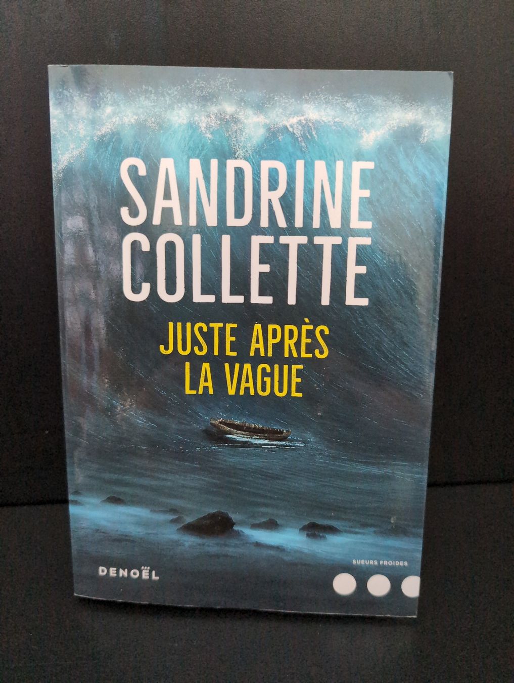 Libri: 10 livres... – Nuovo (secondo la descrizione) da Lausanne venduto da Station84 7