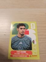 Panini WM 2026 ALG 14 