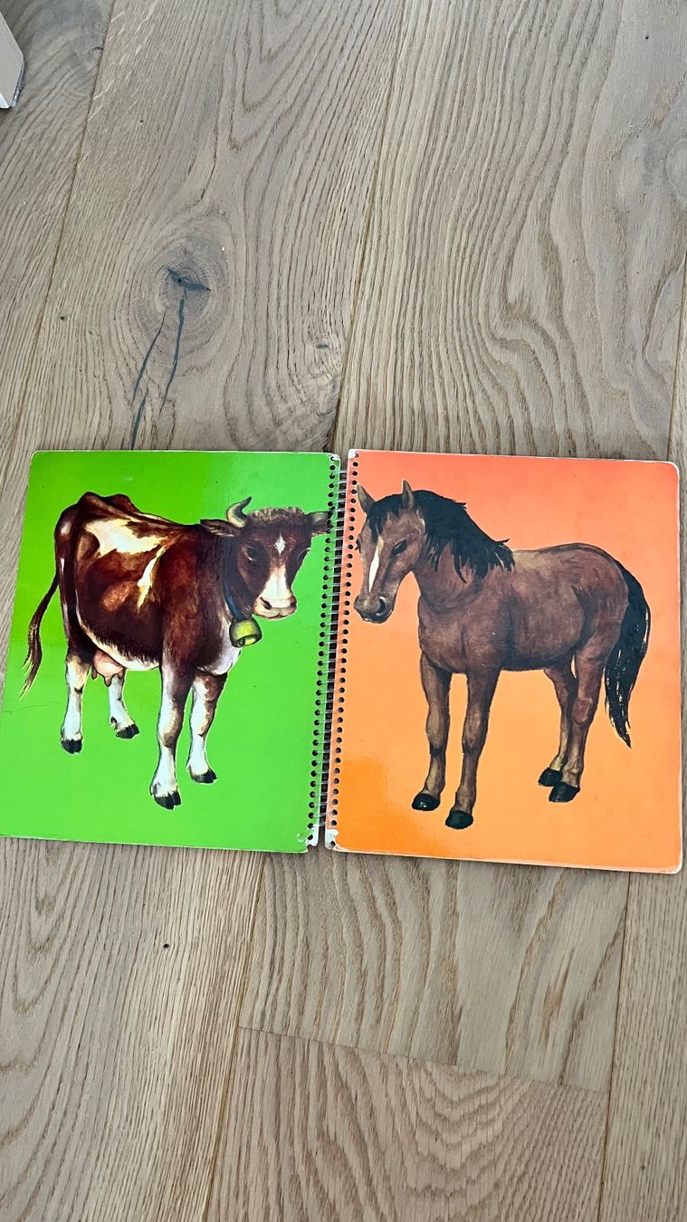 Livres: 7 Kinderbücher – D'occasion à Hinwil par a_walder 8