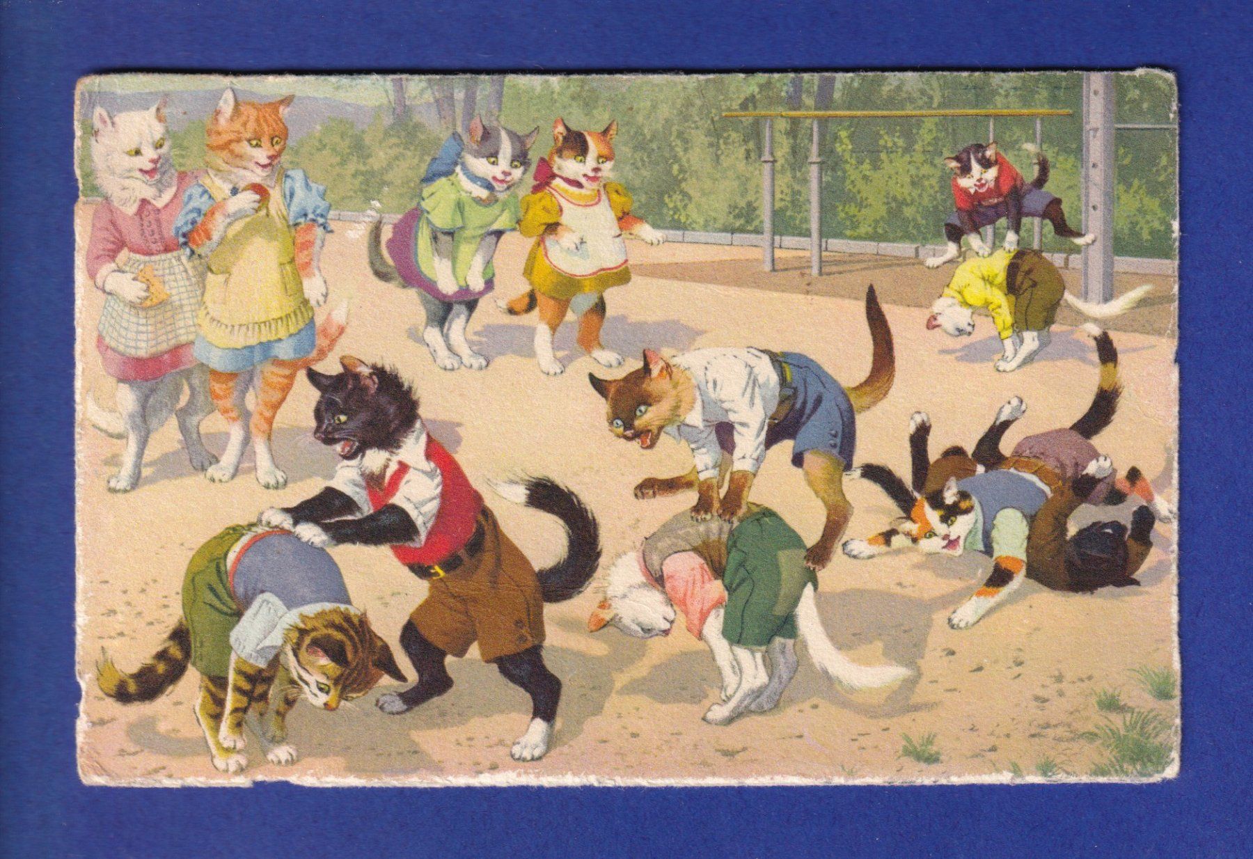 Cartes postales: CHAT - Chats humanisés – D'occasion à Pully par nicecards-shop