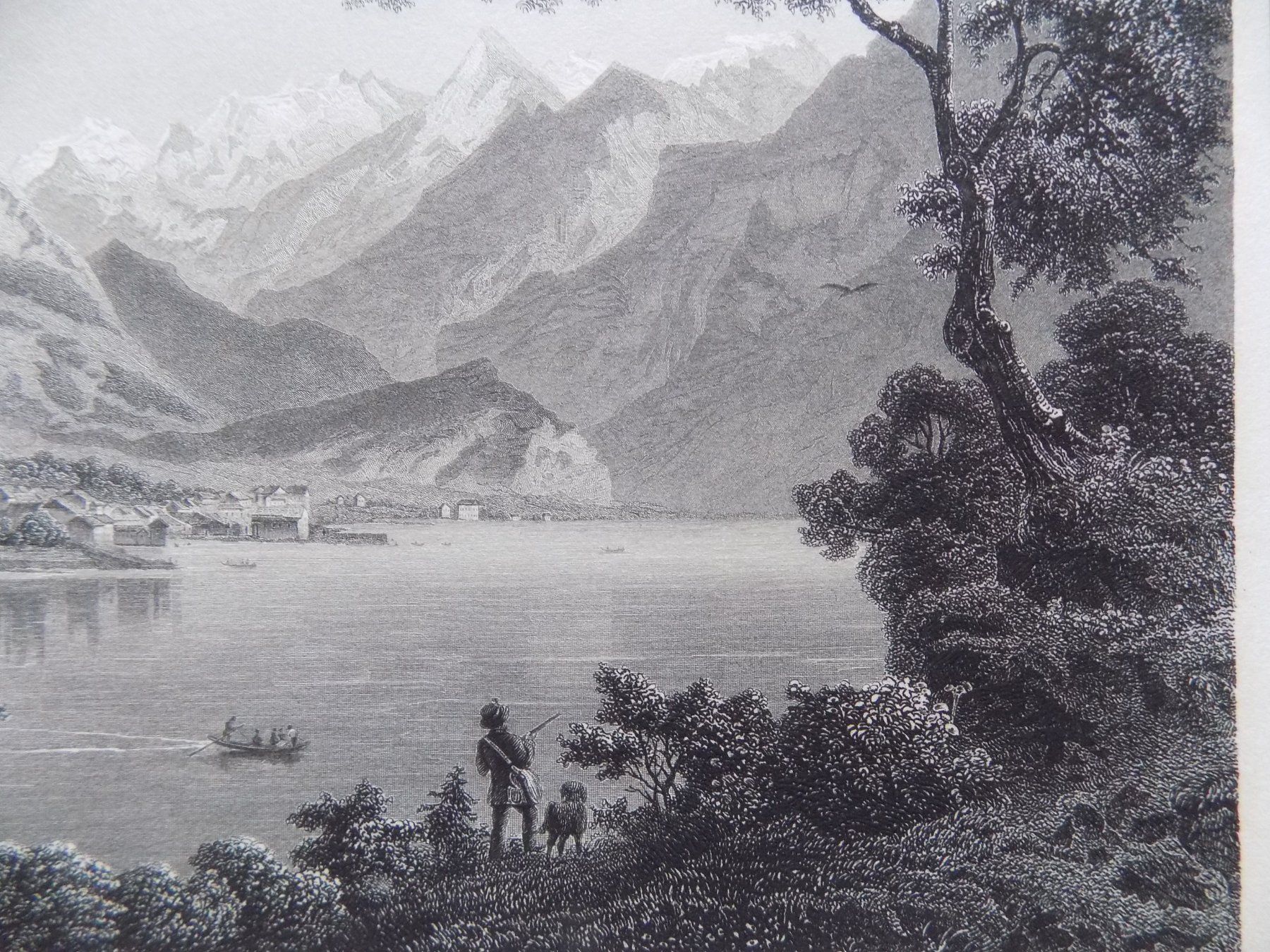 Incisioni: Brienz Luxusausgabe – Usato da Risch venduto da Rischli15 3