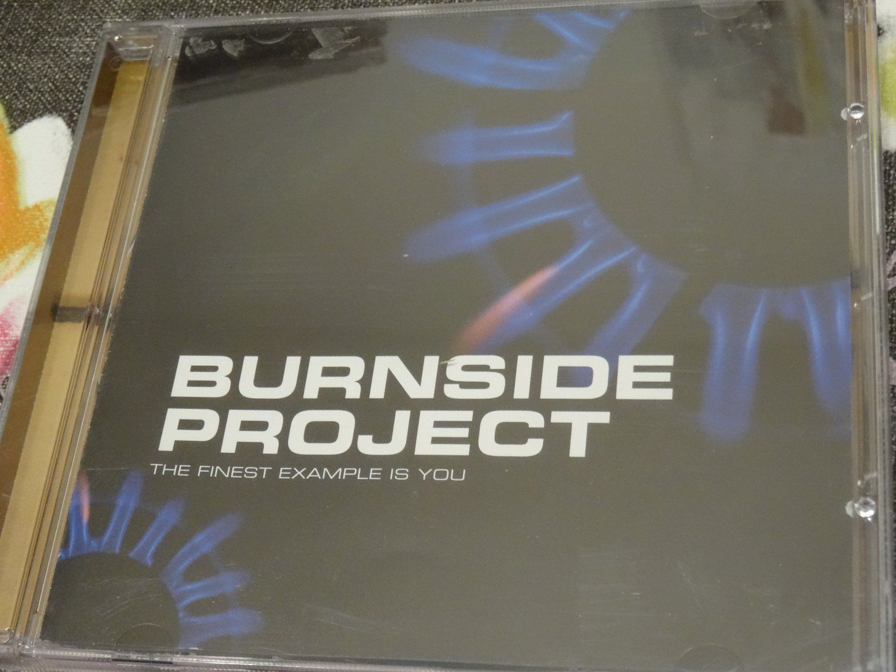 CD: Burnside Project - The Finest Example is you CD – Usato da Olten venduto da Disc-Ausverkauf