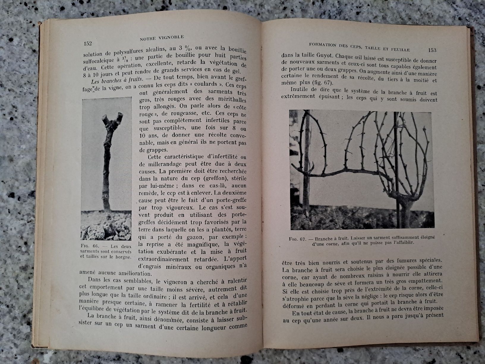 Libri: Vintage Viticulture Book "Notre Vignoble" – Usato da Genève venduto da sunsustains 2