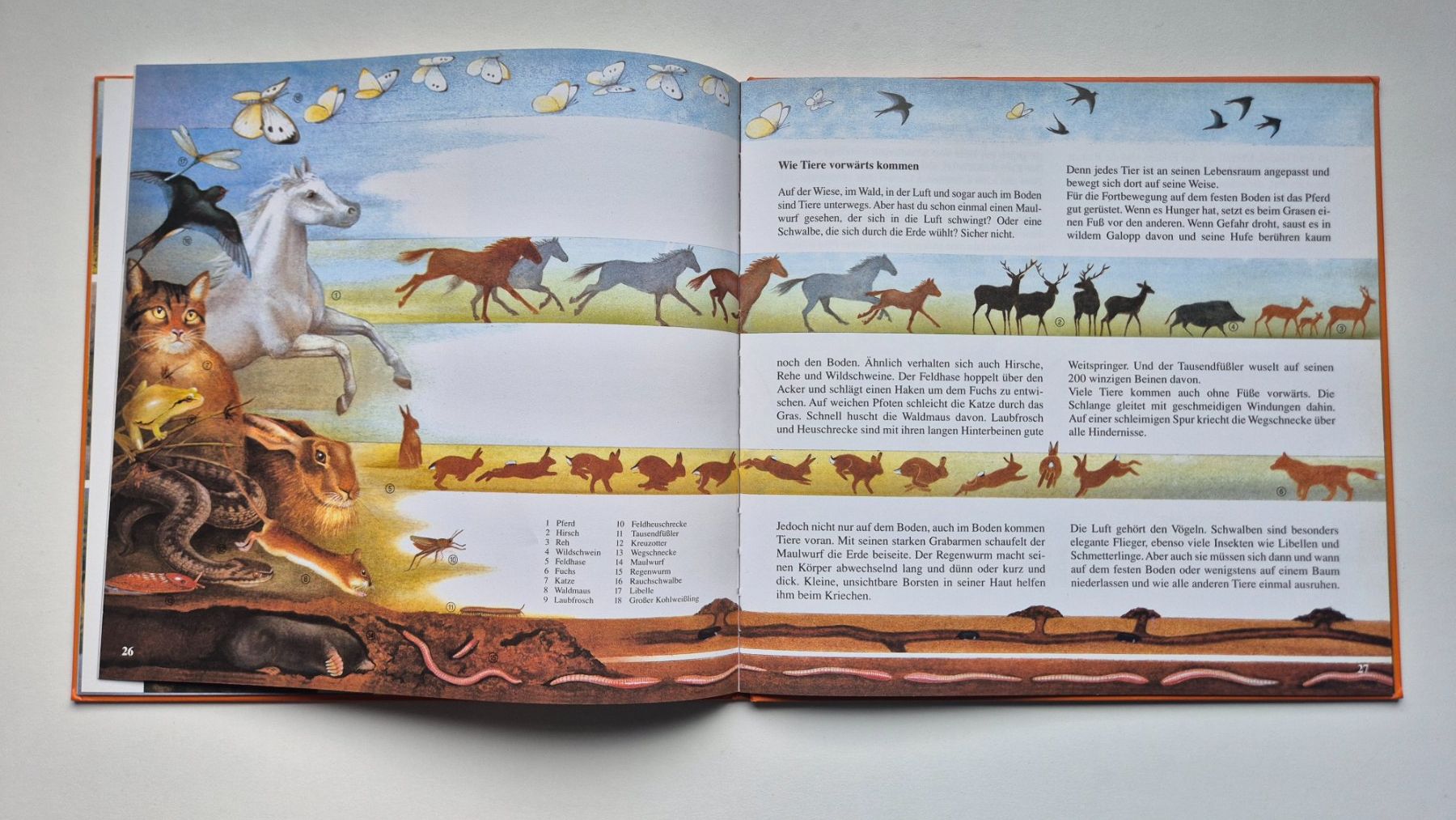 Bücher: Die Erd Uhr      🧡🌍  💦        Una Jacobs – Gebraucht aus Niederweningen von Obson 6