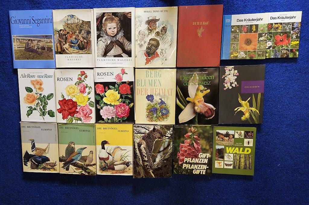 Libri: diverse Silva-Bücher – Usato da Buochs venduto da mur_8t6p 2