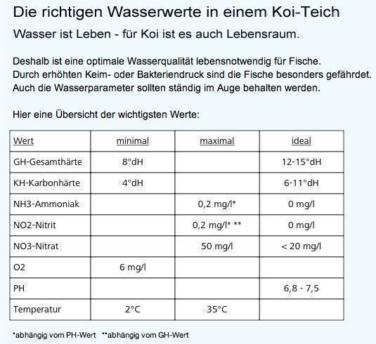Prodotti di pulizia: Koi Stabil  - Wasser stabilisieren – Nuovo e nell'imballaggio originale da Brittnau venduto da Pebelalm 1